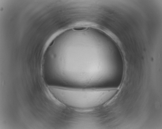 X0000062881296200601131027