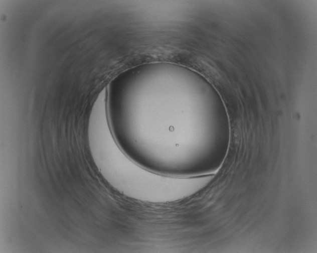 X0000062881298200601131026