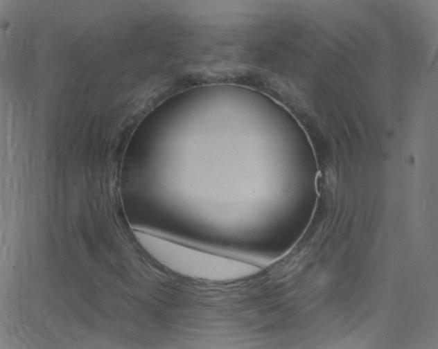 X0000062881300200601131026