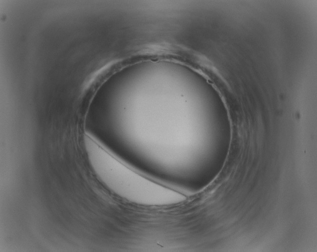 X0000062881304200601131026