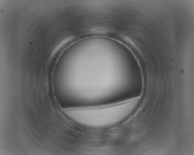 X0000062881307200601131026