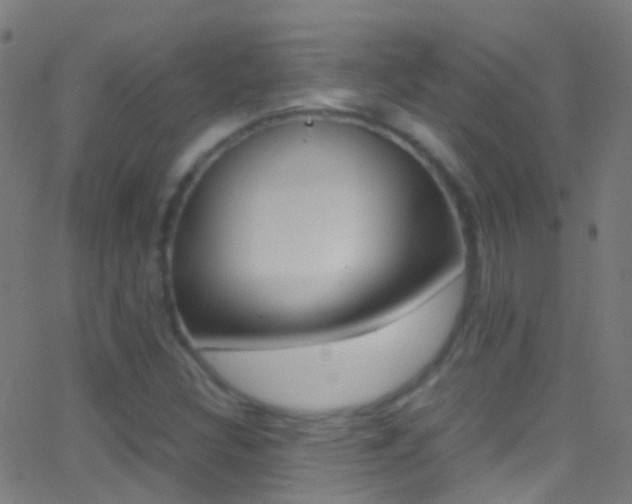X0000062881308200601131026