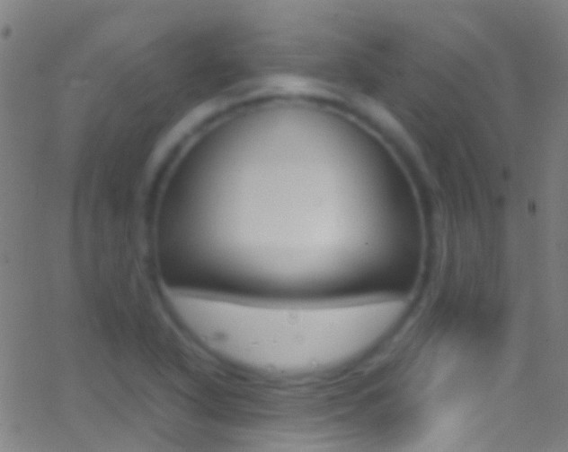 X0000062881318200601131026