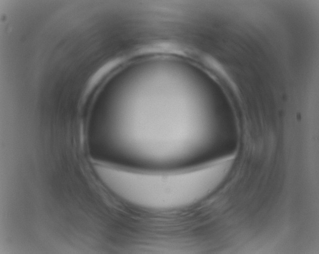 X0000062881320200601131026