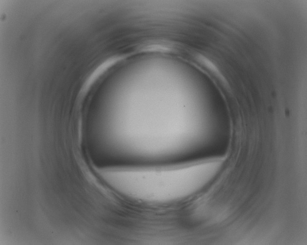 X0000062881323200601131026