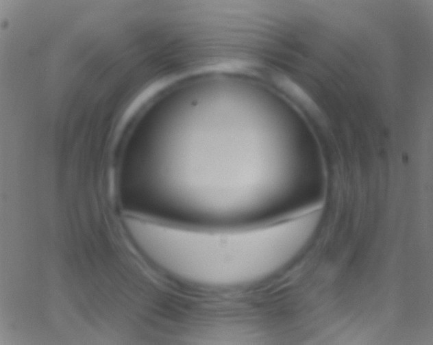 X0000062881324200601131026
