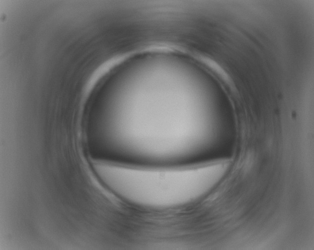 X0000062881327200601131026