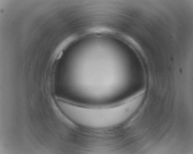 X0000062881330200601131027
