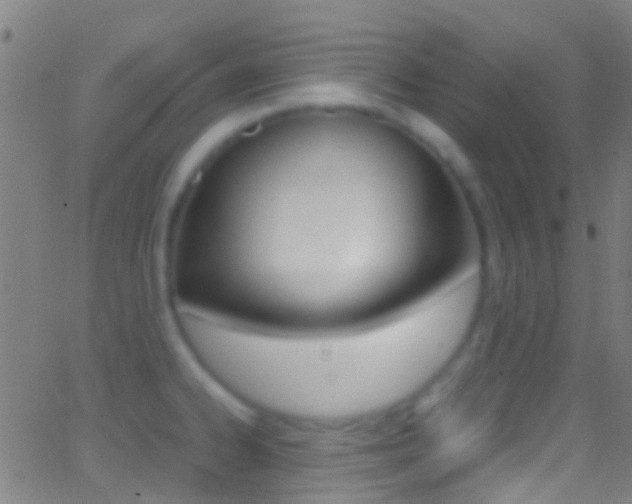 X0000062881334200601131027