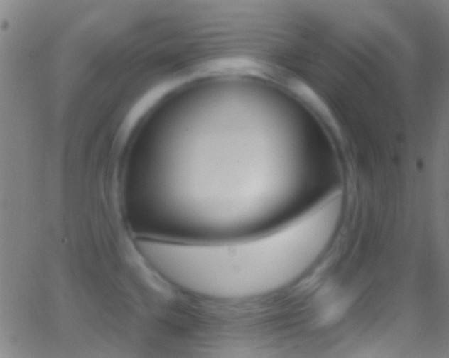 X0000062881336200601131027