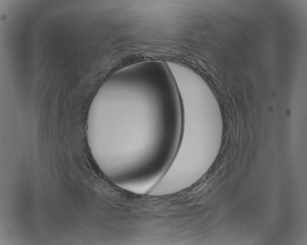X0000062881345200601131026
