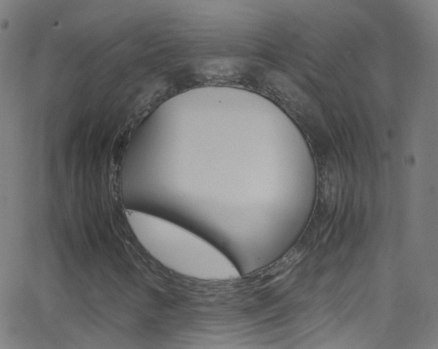 X0000062881346200601131026