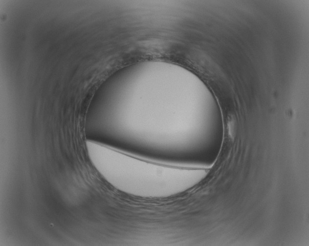 X0000062881347200601131026