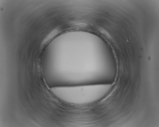 X0000062881354200601131026