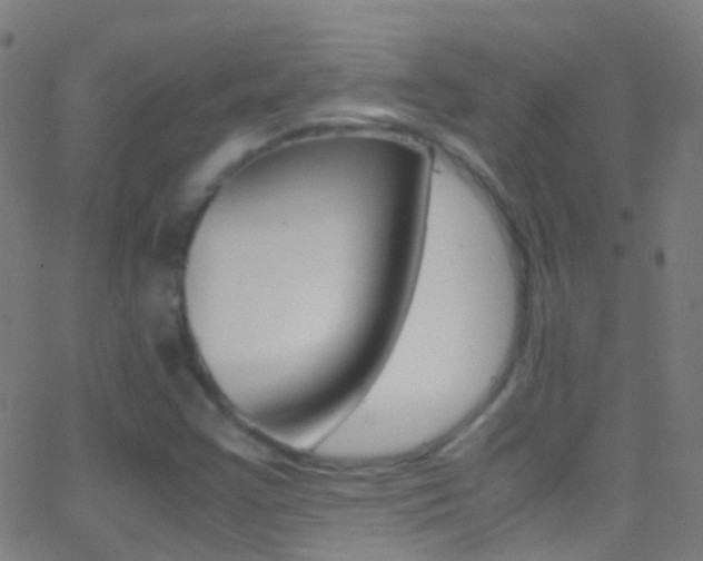 X0000062881355200601131026