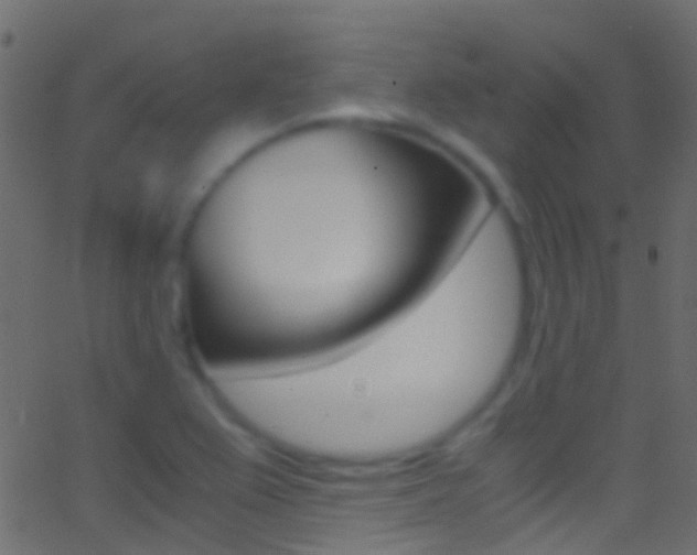 X0000062881367200601131026