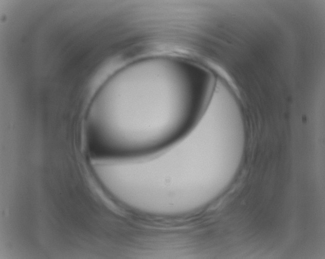 X0000062881371200601131026