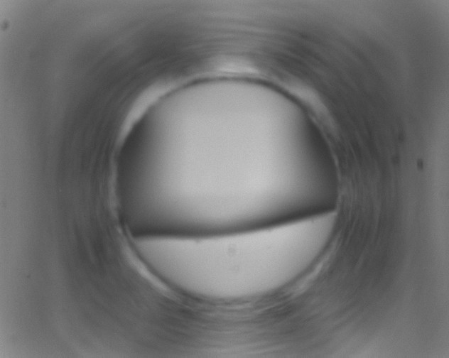 X0000062881374200601131025