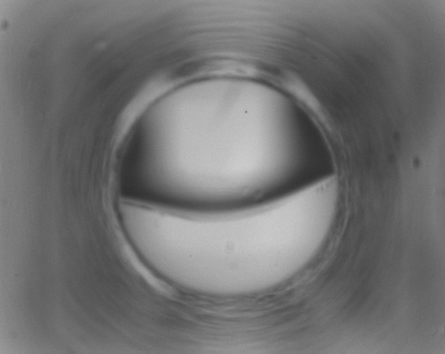 X0000062881379200601131025