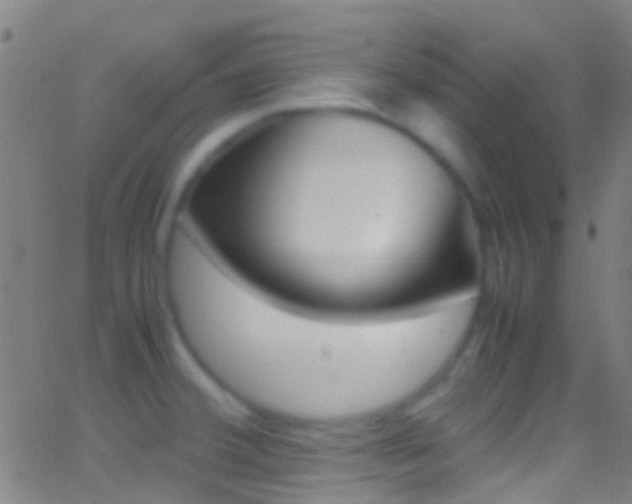 X0000062881380200601131025