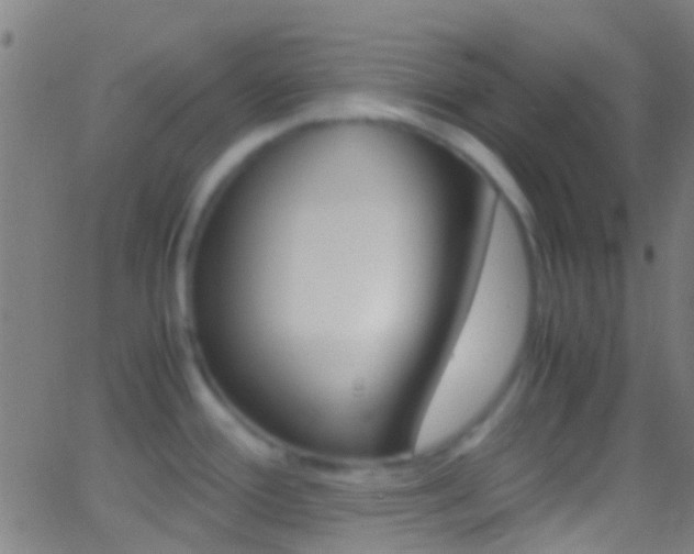 X0000062881388200601131025