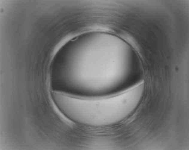 X0000062881391200601131025