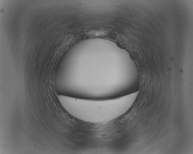 X0000062881393200601131024