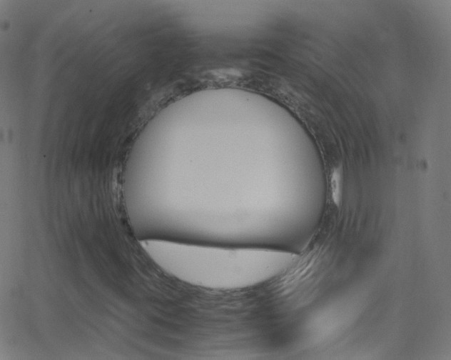 X0000062881395200601131024
