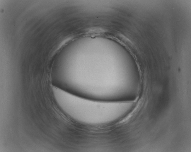 X0000062881401200601131025