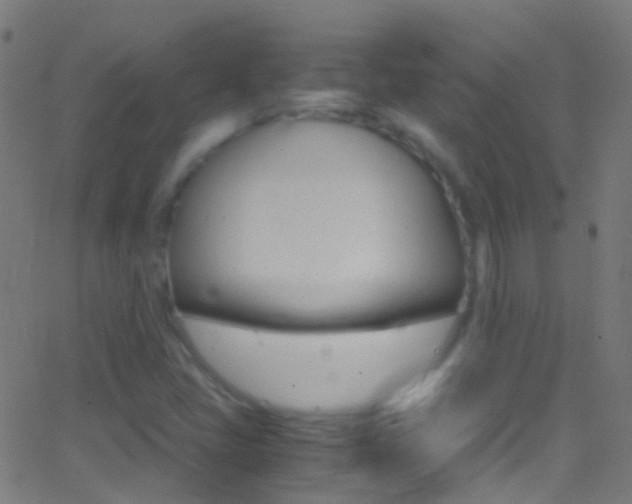 X0000062881405200601131025