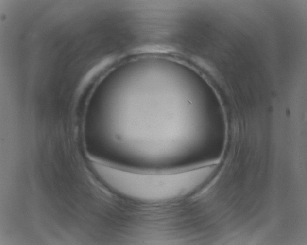 X0000062881406200601131025