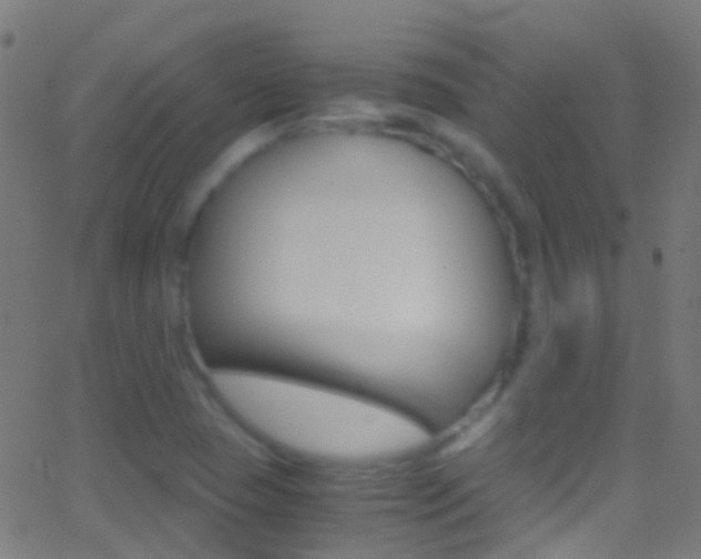 X0000062881409200601131025