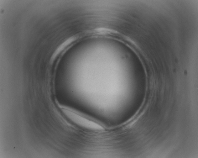 X0000062881410200601131025