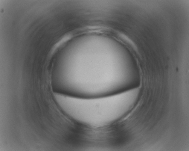 X0000062881411200601131025