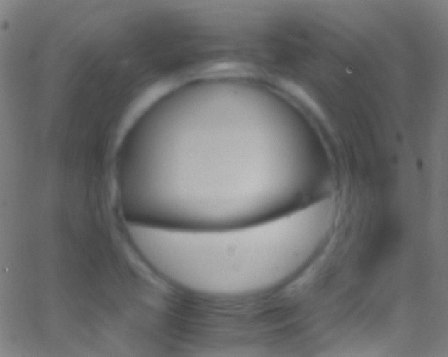 X0000062881413200601131025