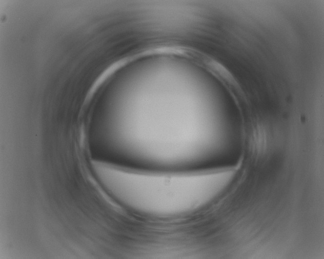 X0000062881420200601131025