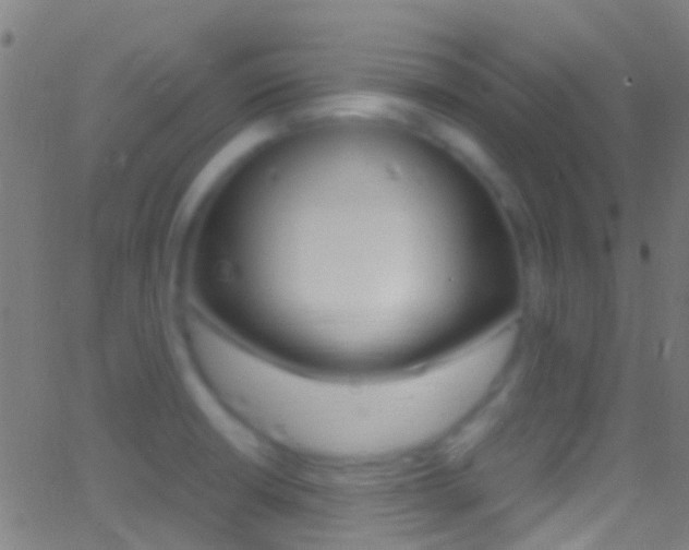 X0000062881426200601131025