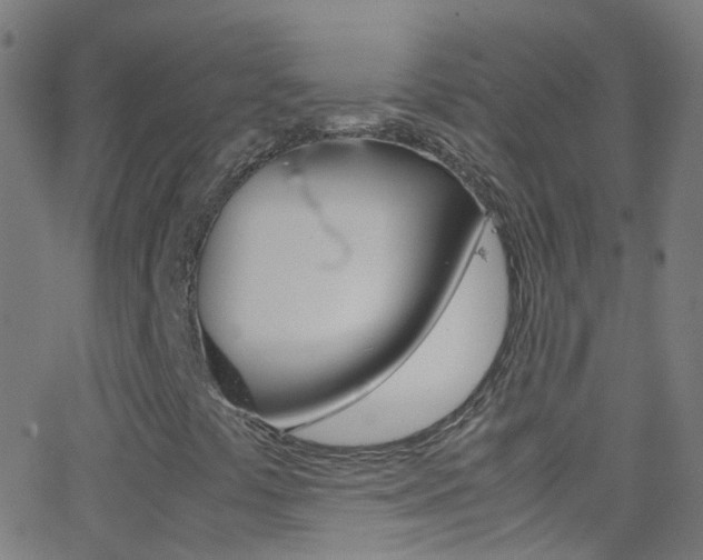 X0000062881441200601131024