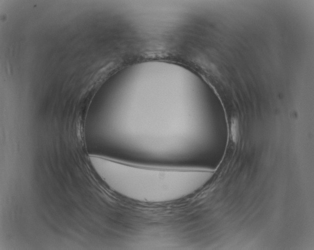 X0000062881444200601131024