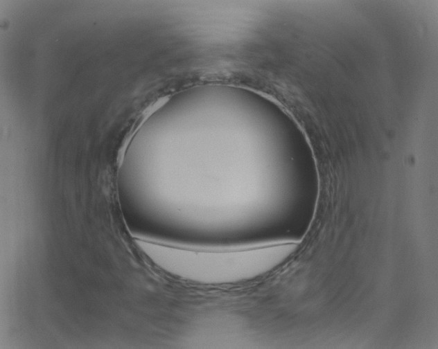 X0000062881445200601131024