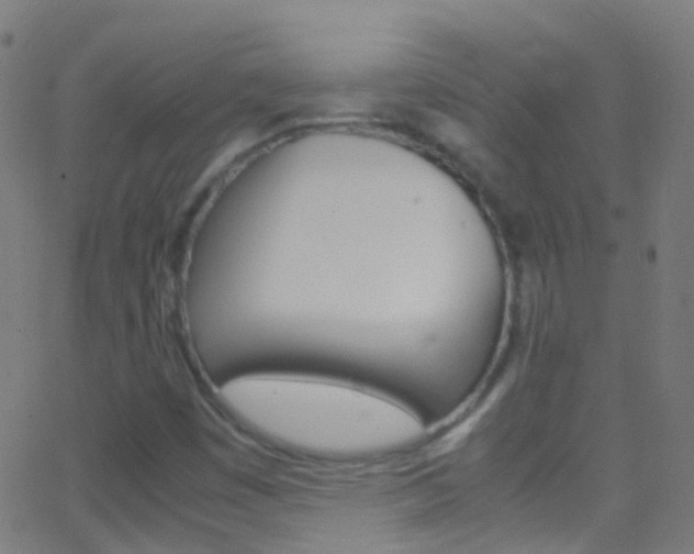 X0000062881449200601131024