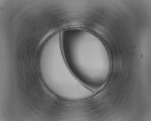 X0000062881450200601131024