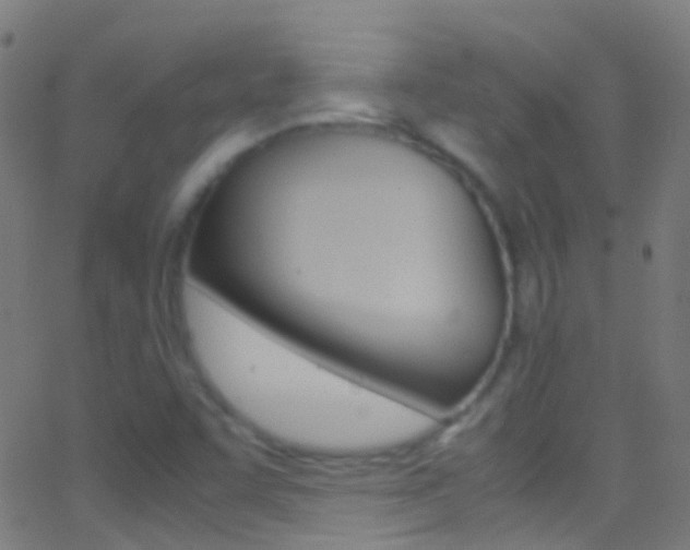 X0000062881455200601131024