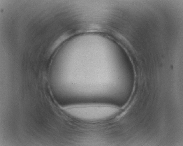 X0000062881457200601131024