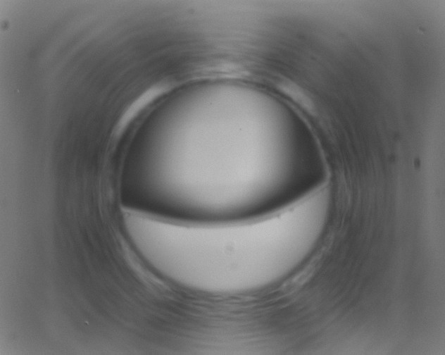 X0000062881458200601131024