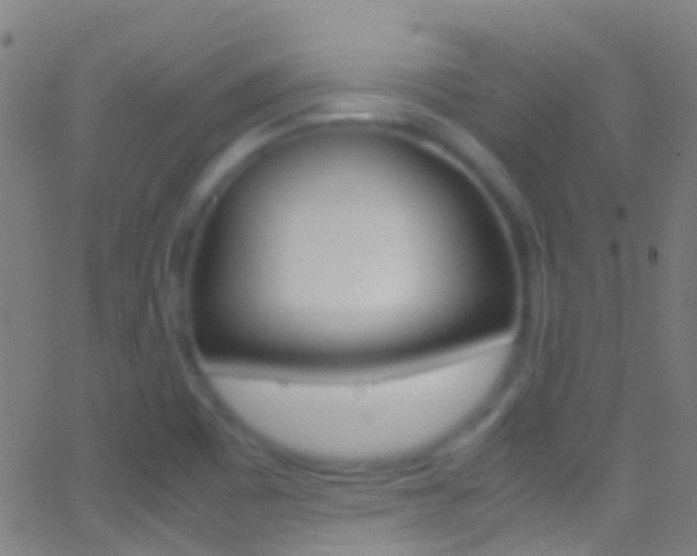 X0000062881465200601131024
