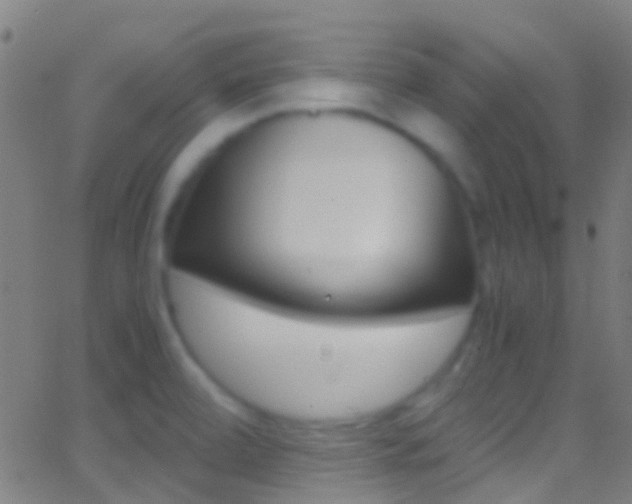 X0000062881472200601131024