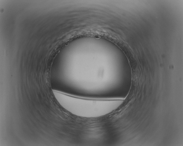 X0000062881490200601131023