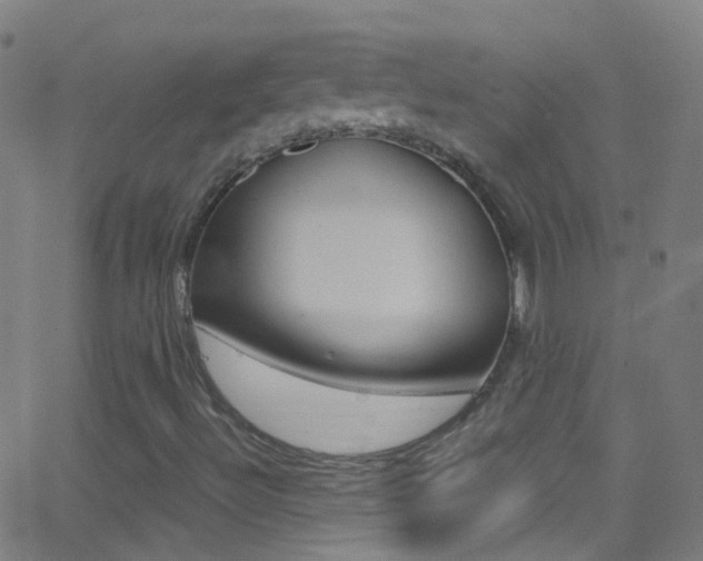 X0000062881492200601131023