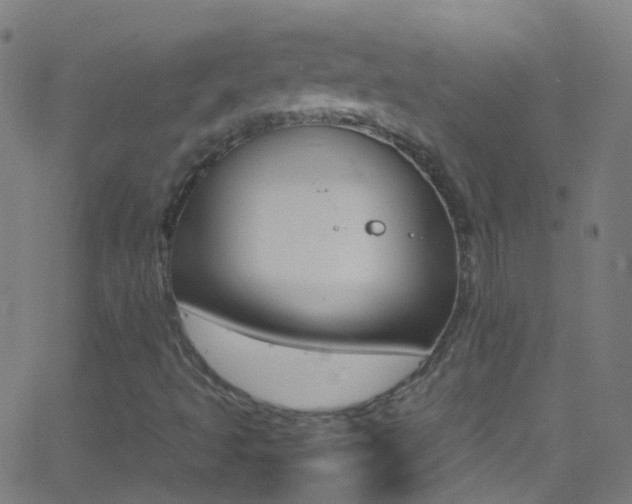 X0000062881493200601131023